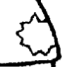 Detail — star on cape portion